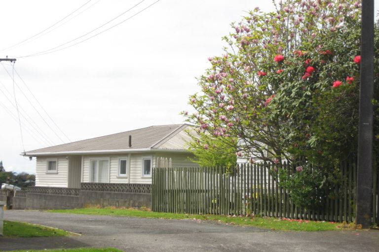 Photo of property in 18 Barclay Street, Ferndale, New Plymouth, 4310