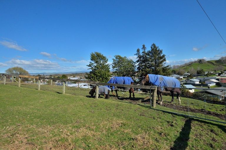 Photo of property in 99 Valley Road, Mangapapa, Gisborne, 4010