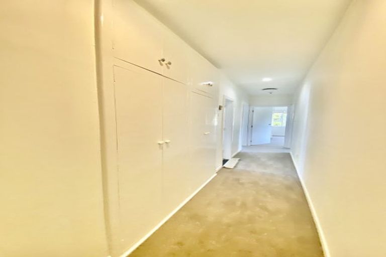 Photo of property in 38 Mcdougall Avenue, St Albans, Christchurch, 8014