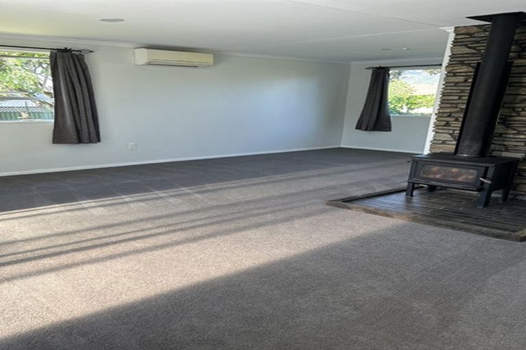 Photo of property in 21 Antimony Crescent, Cromwell, 9310