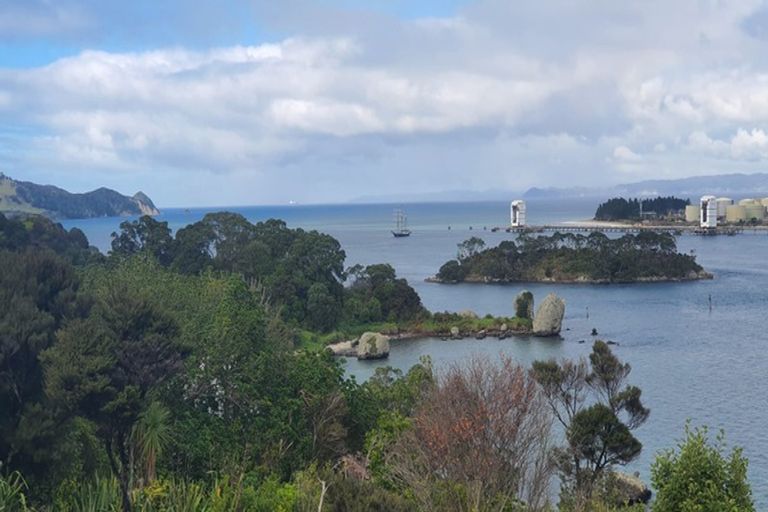 Photo of property in 50 Norfolk Avenue, Whangarei Heads, Whangarei, 0174