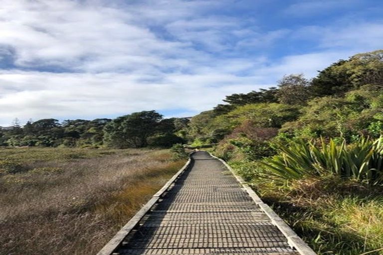 Photo of property in 10 Deuxberry Avenue, Northcote, Auckland, 0627