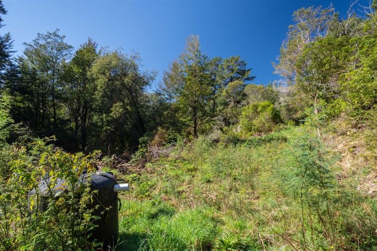 Photo of property in 1000 Wakamarina Road, Wakamarina, Havelock, 7178