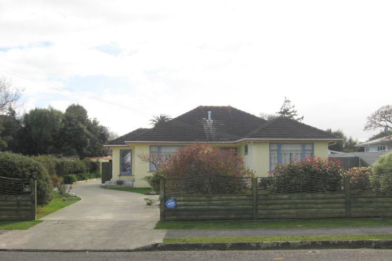 Photo of property in 16 Gordon Place, Levin, 5510