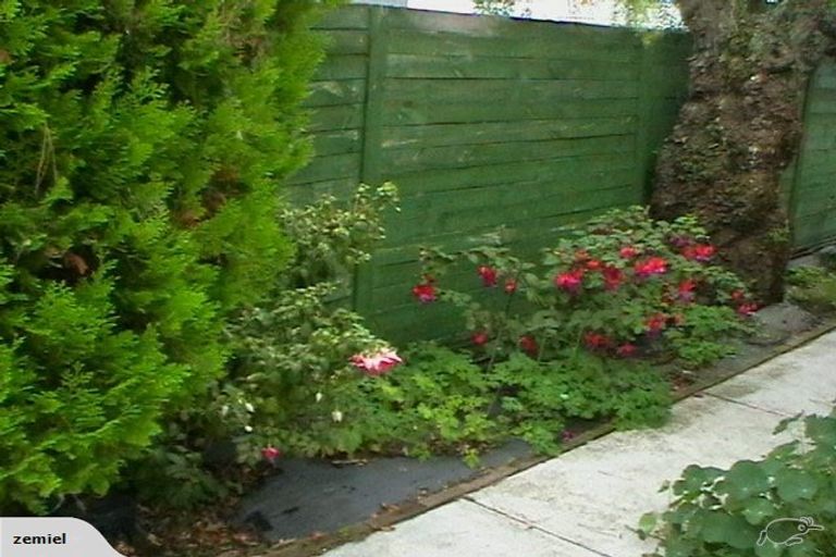 Photo of property in 56 Kawau Crescent, Bromley, Christchurch, 8062