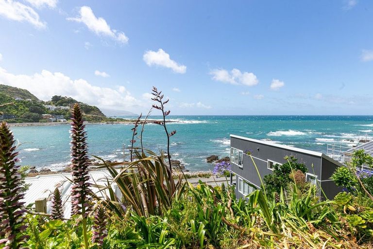 Photo of property in 100 Owhiro Bay Parade, Owhiro Bay, Wellington, 6023