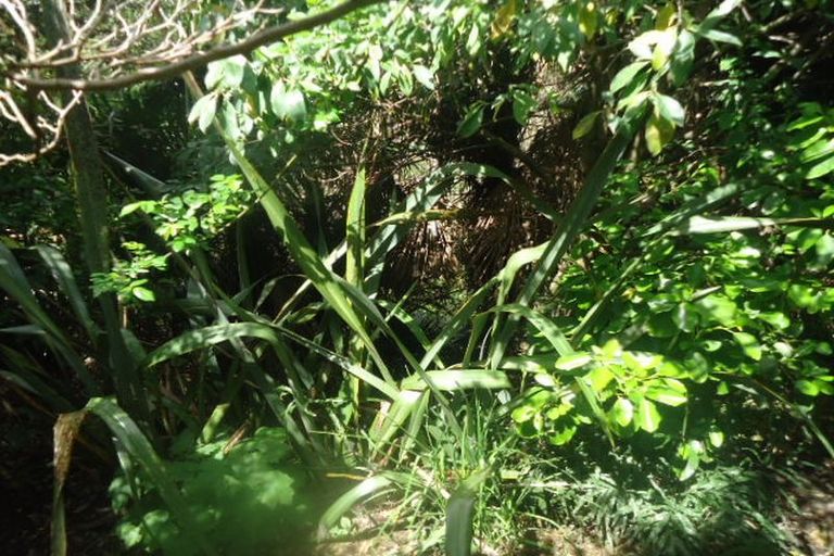 Photo of property in 9 London Terrace, Putaruru, 3411