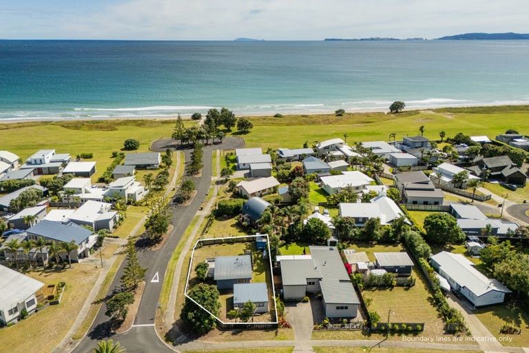 Photo of property in 100 Ocean Close, Matarangi, Whitianga, 3592