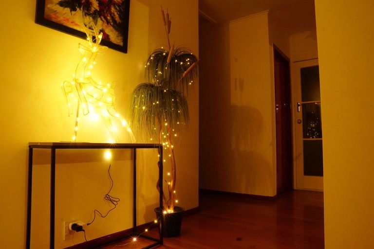 Photo of property in 205 Bankwood Road, Chartwell, Hamilton, 3210