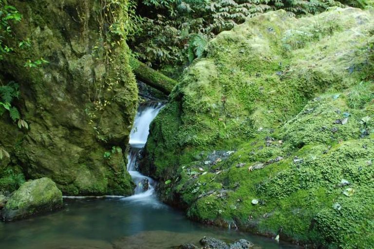 Photo of property in 114 Hay Road, Helena Bay, Hikurangi, 0184