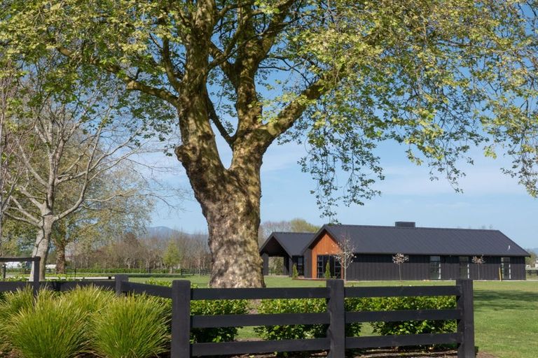 Photo of property in 7 Orchard Place, Matamata, 3472