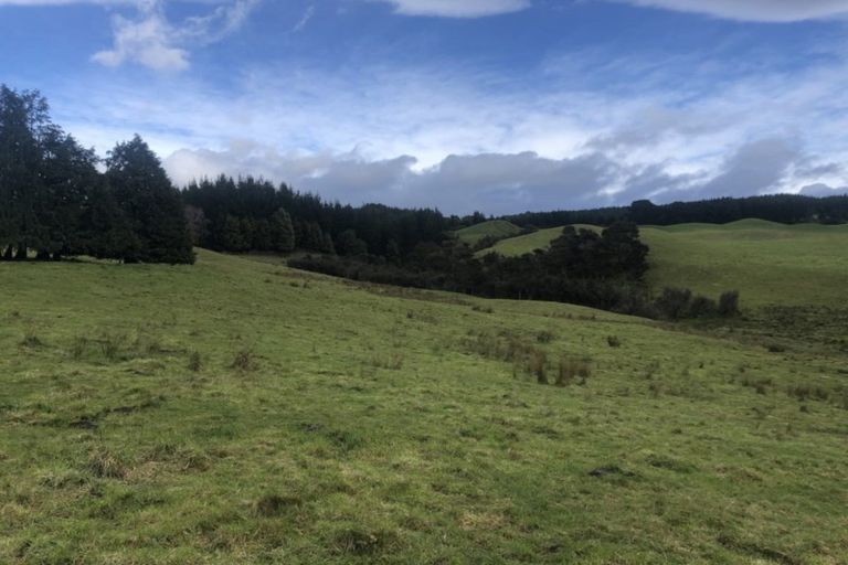 Photo of property in 5 Willowford Road, Waiwhare, Hastings, 4179