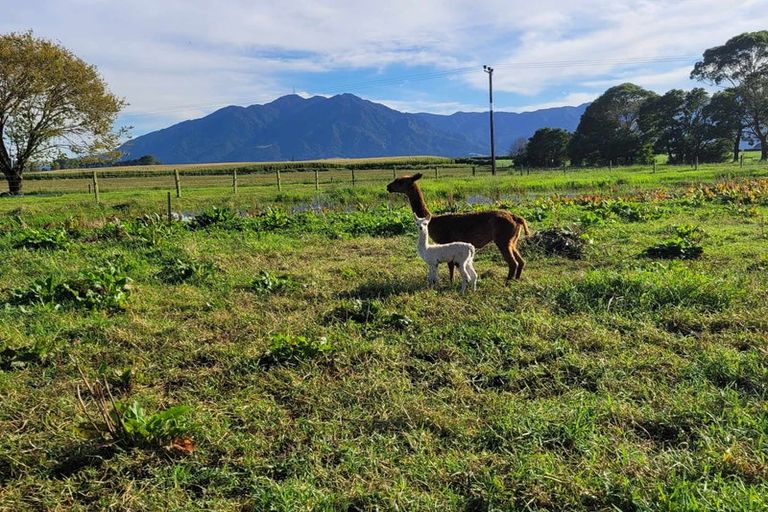 Photo of property in 106 Steele Road, Manawaru, Te Aroha, 3391