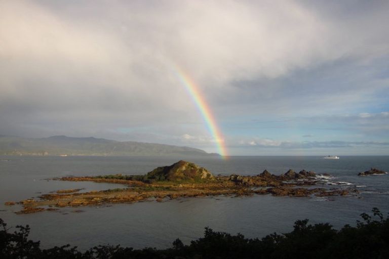 Photo of property in 31 High Street, Island Bay, Wellington, 6023