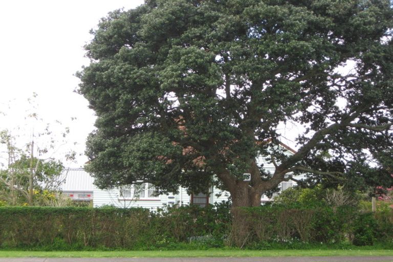 Photo of property in 78 Cracroft Street, Waitara, 4320