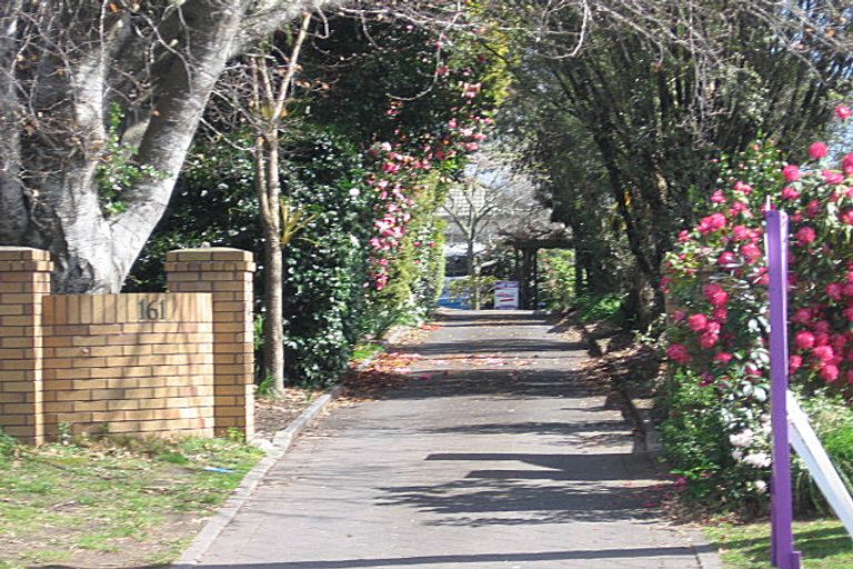 Photo of property in 161d Fraser Street, Tauranga South, Tauranga, 3112