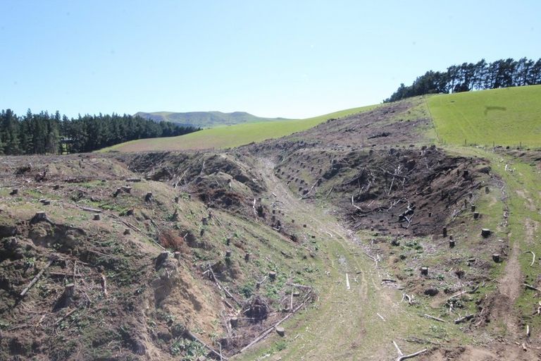 Photo of property in 631 Glenmark Drive, Waipara, Amberley, 7483