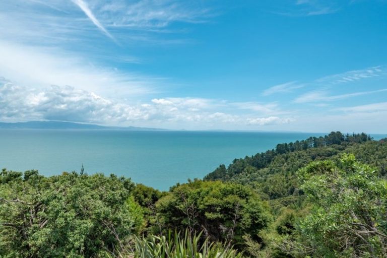 Photo of property in 13 Pohue Creek Road, Ruamahunga, Thames, 3575