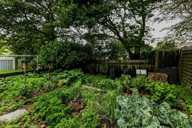 Photo of property in 17 Vivian Street, New Plymouth, 4310