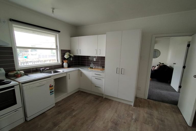 Photo of property in 53 Albert Street, Hamilton East, Hamilton, 3216