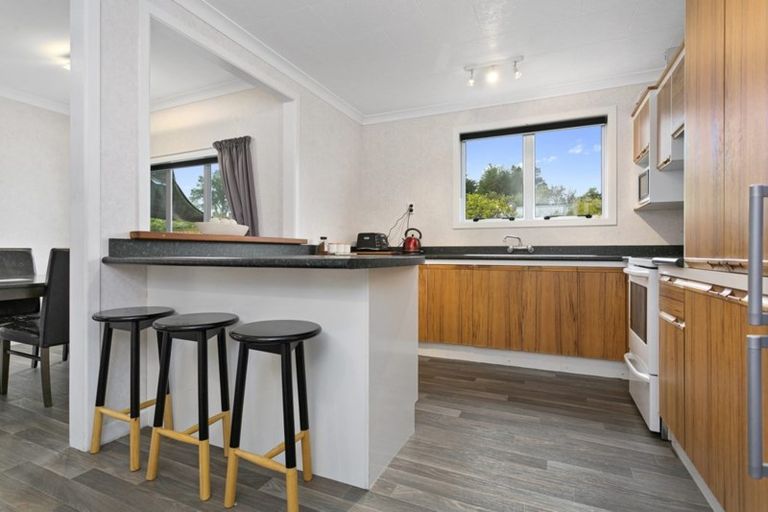 Photo of property in 113 Buckland Street, Putaruru, 3411