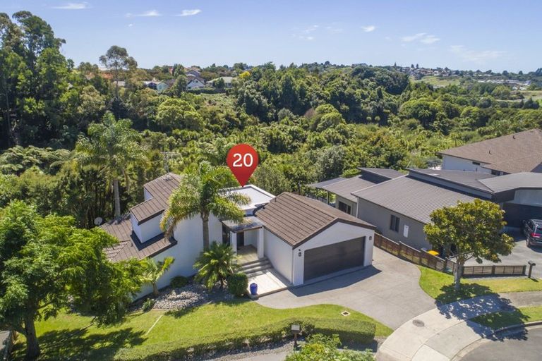 Photo of property in 20 Saint Clements Grove, Bethlehem, Tauranga, 3110