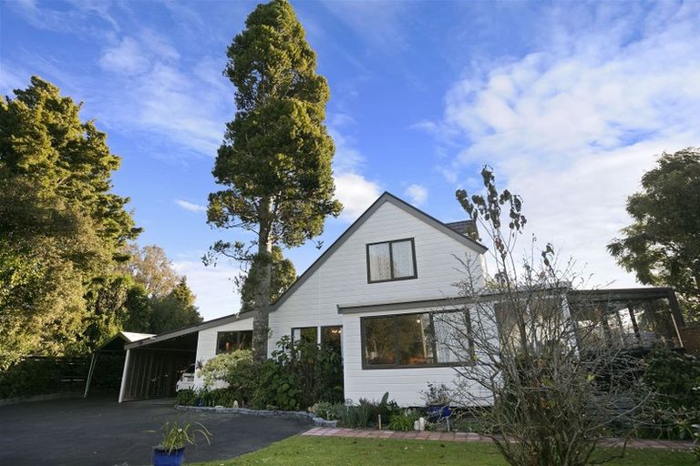 Photo of property in 41 Cameron Road, Te Puke, 3119