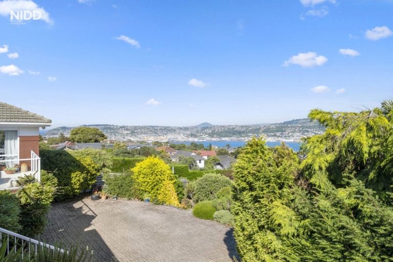 Photo of property in 115 Belford Street, Waverley, Dunedin, 9013