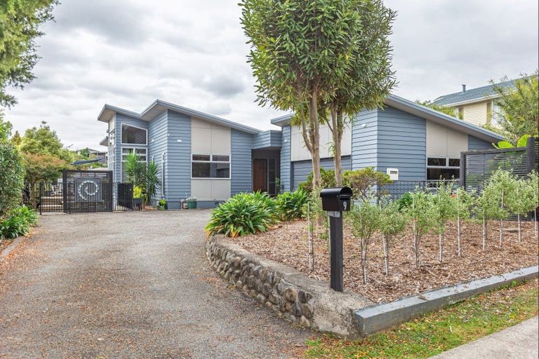 Photo of property in 9 Macarthur Street, Levin, 5510
