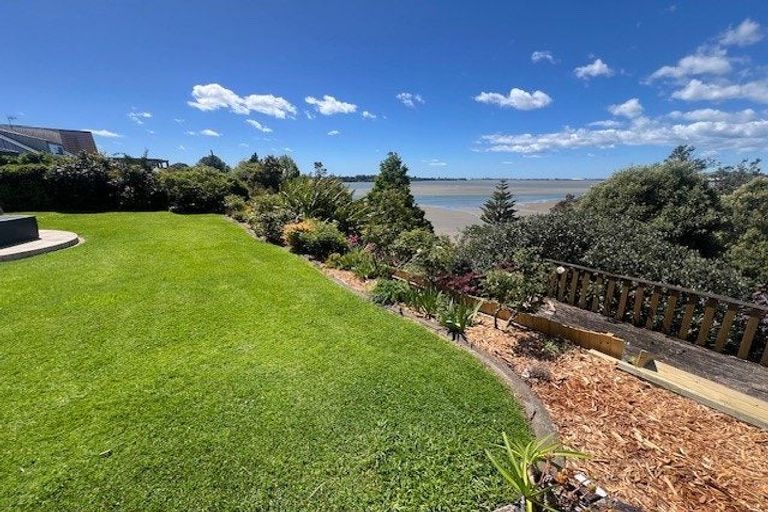 Photo of property in 31 Te Hono Street, Maungatapu, Tauranga, 3112