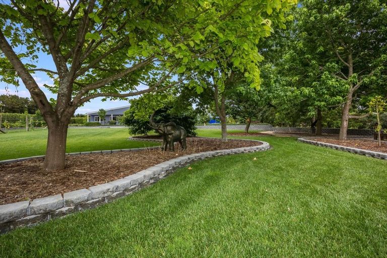 Photo of property in 342a Tararua Road, Levin, 5571