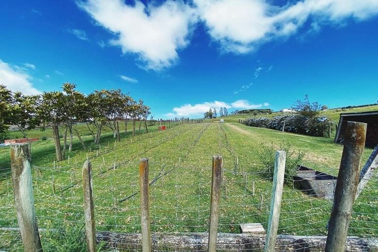 Photo of property in 391 State Highway 1, Otaika, Whangarei, 0178
