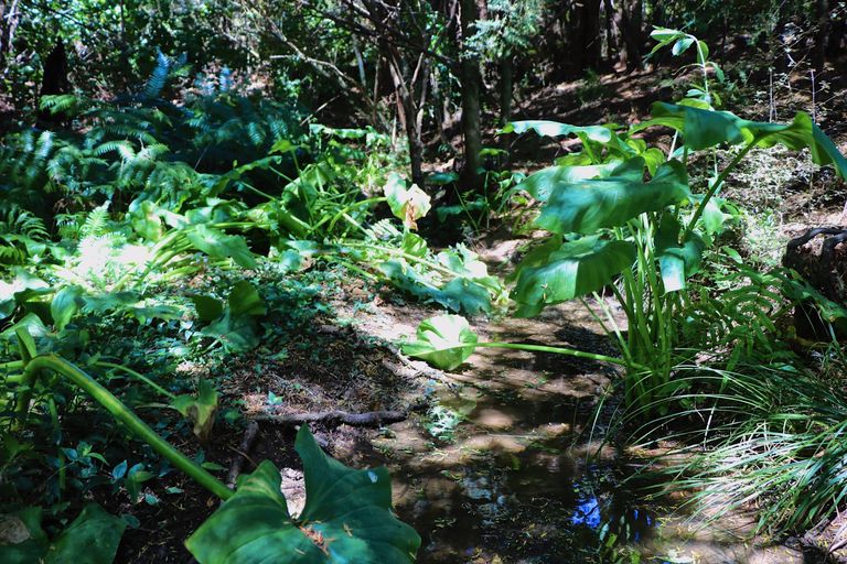 Photo of property in 96 Lamb Road, Parua Bay, Whangarei, 0174