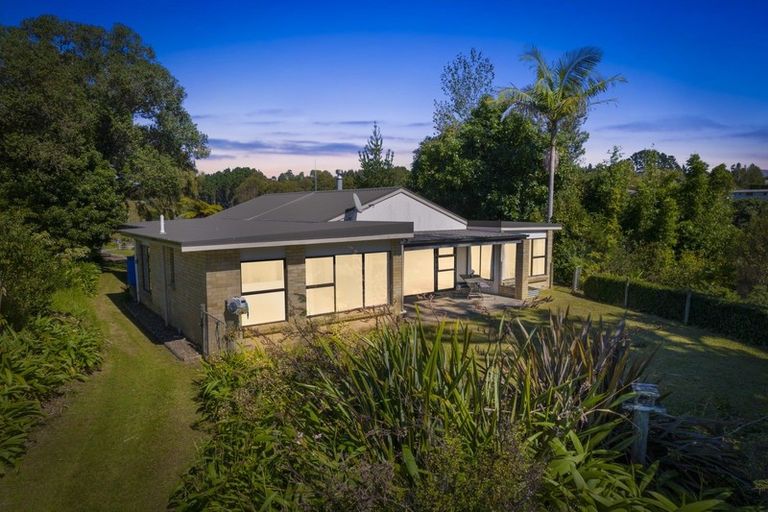 Photo of property in 227 Youngson Road, Whakamarama, Tauranga, 3179