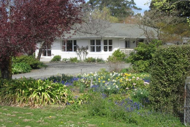 Photo of property in 77 Mill Road, Waimate, 7924