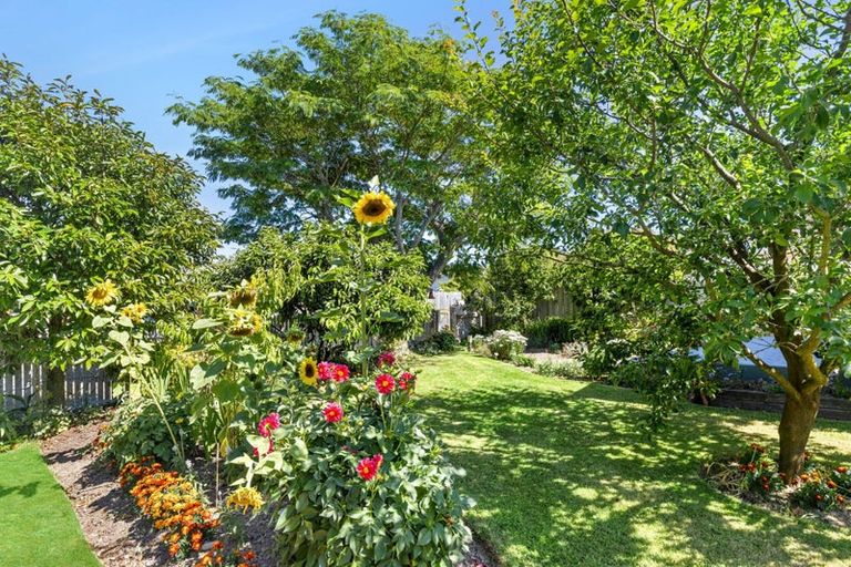 Photo of property in 29 York Street, Motueka, 7120