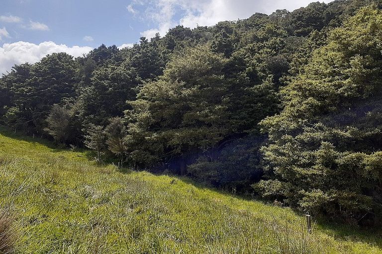 Photo of property in 171 Arcadia Road, Paparoa, 0571