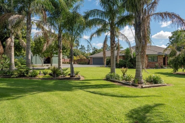 Photo of property in 20a Hayward Road, Minden, Tauranga, 3179