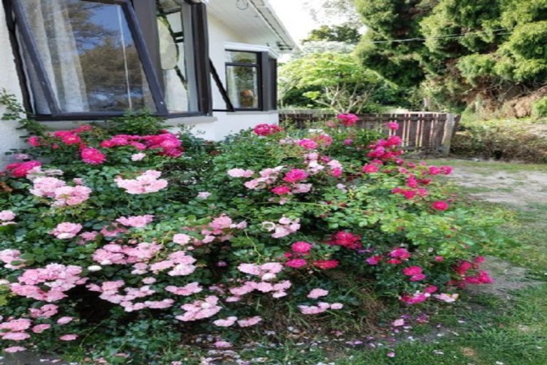 Photo of property in 19 Knighton Road, Hillcrest, Hamilton, 3216