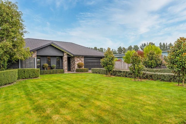 Photo of property in 13 Gimson Street, Solway, Masterton, 5810