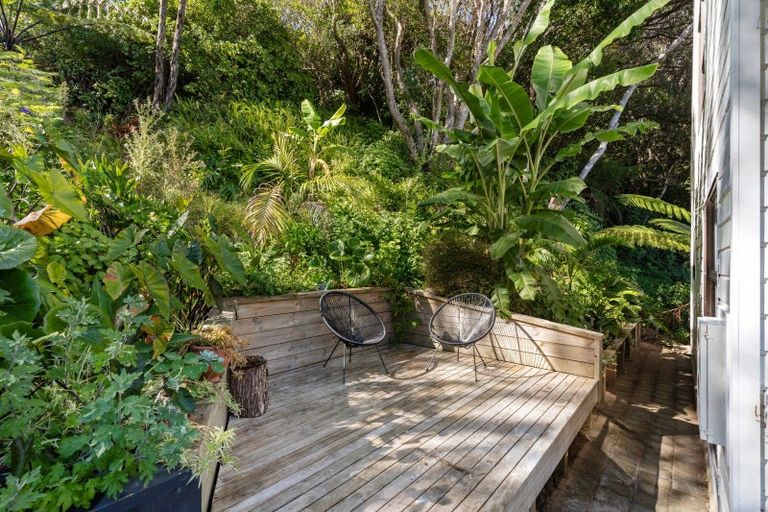 Photo of property in 338 Onemana Drive, Onemana, Whangamata, 3691