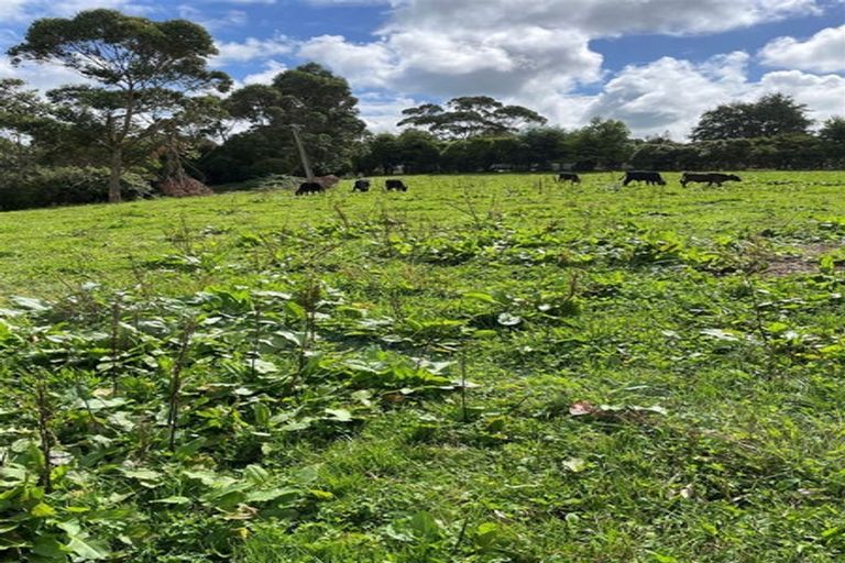 Photo of property in 108 Kukutauaki Road, Koputaroa, Levin, 5575