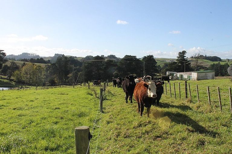 Photo of property in 70 Biddle Road, Wellsford, 0973