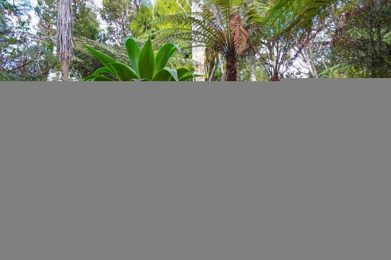 Photo of property in 202 Godley Road, Titirangi, Auckland, 0604