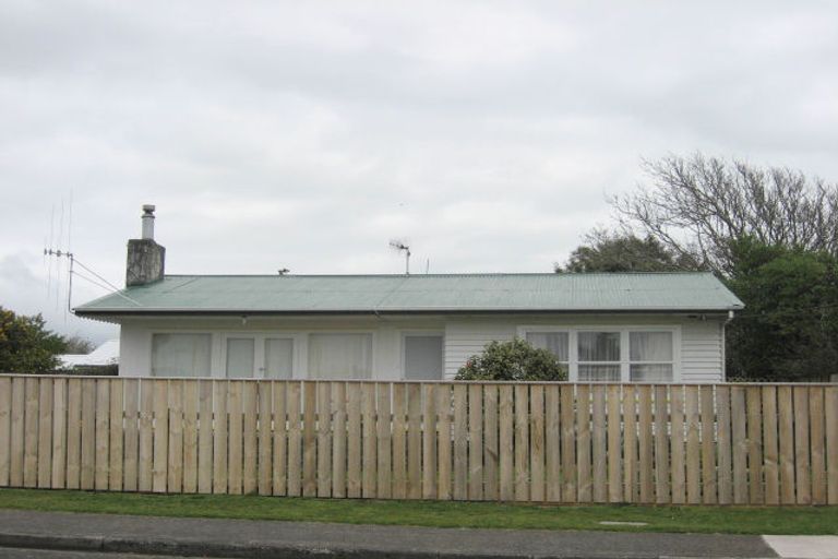 Photo of property in 38 Power Street, Levin, 5510