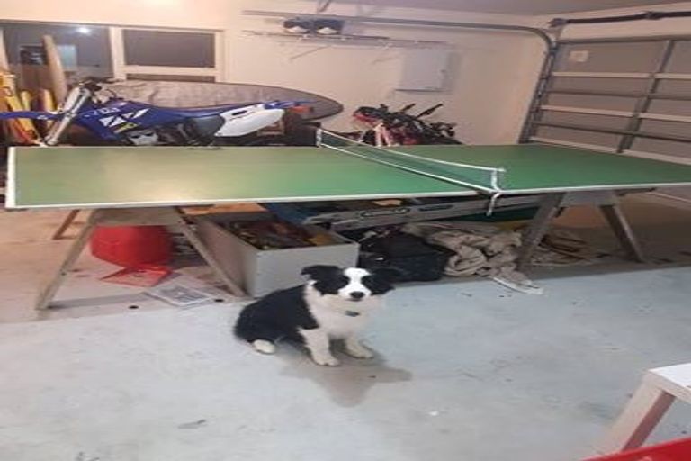 Photo of property in 180 Mark Avenue, Grenada Village, Wellington, 6037