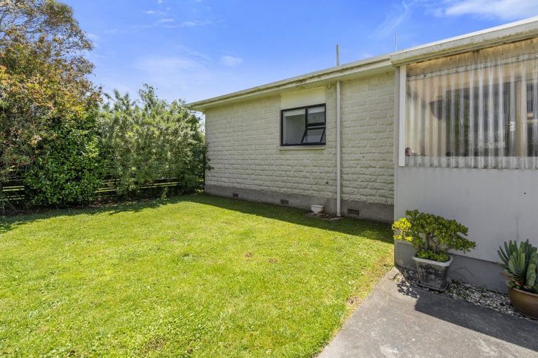Photo of property in 7 Douglas Street, Levin, 5510
