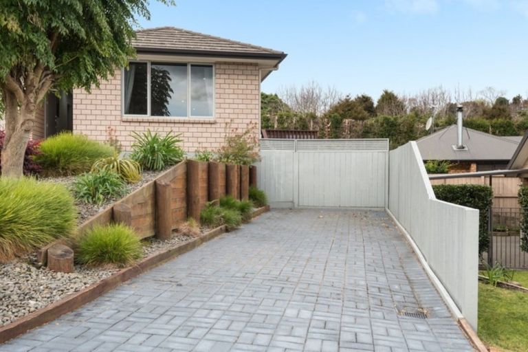 Photo of property in 6 Arthur Grove, Bethlehem, Tauranga, 3110