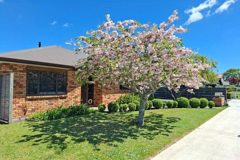 Photo of property in 4 Bryce Street, Cambridge, 3434