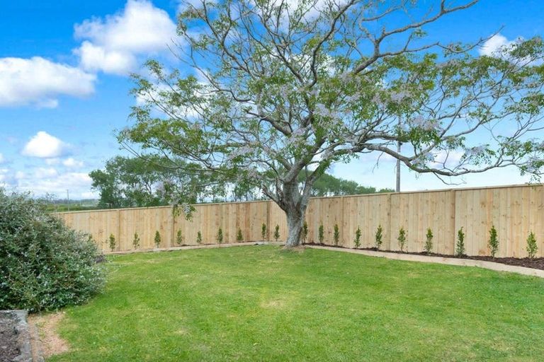 Photo of property in 60 Tapu Bush Road, Whangaripo, Wellsford, 0974